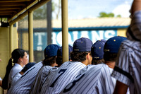 Baseball_1134